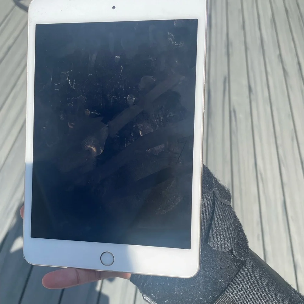 iPad Mini 4